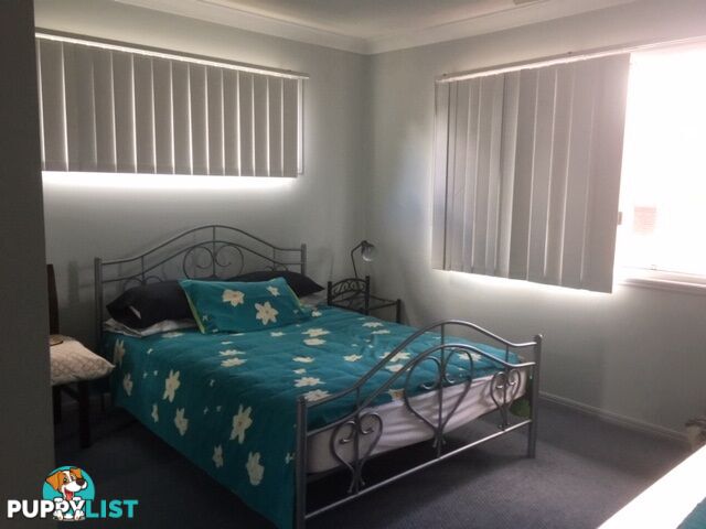 15 Daisy Hill Road DAISY HILL QLD 4127