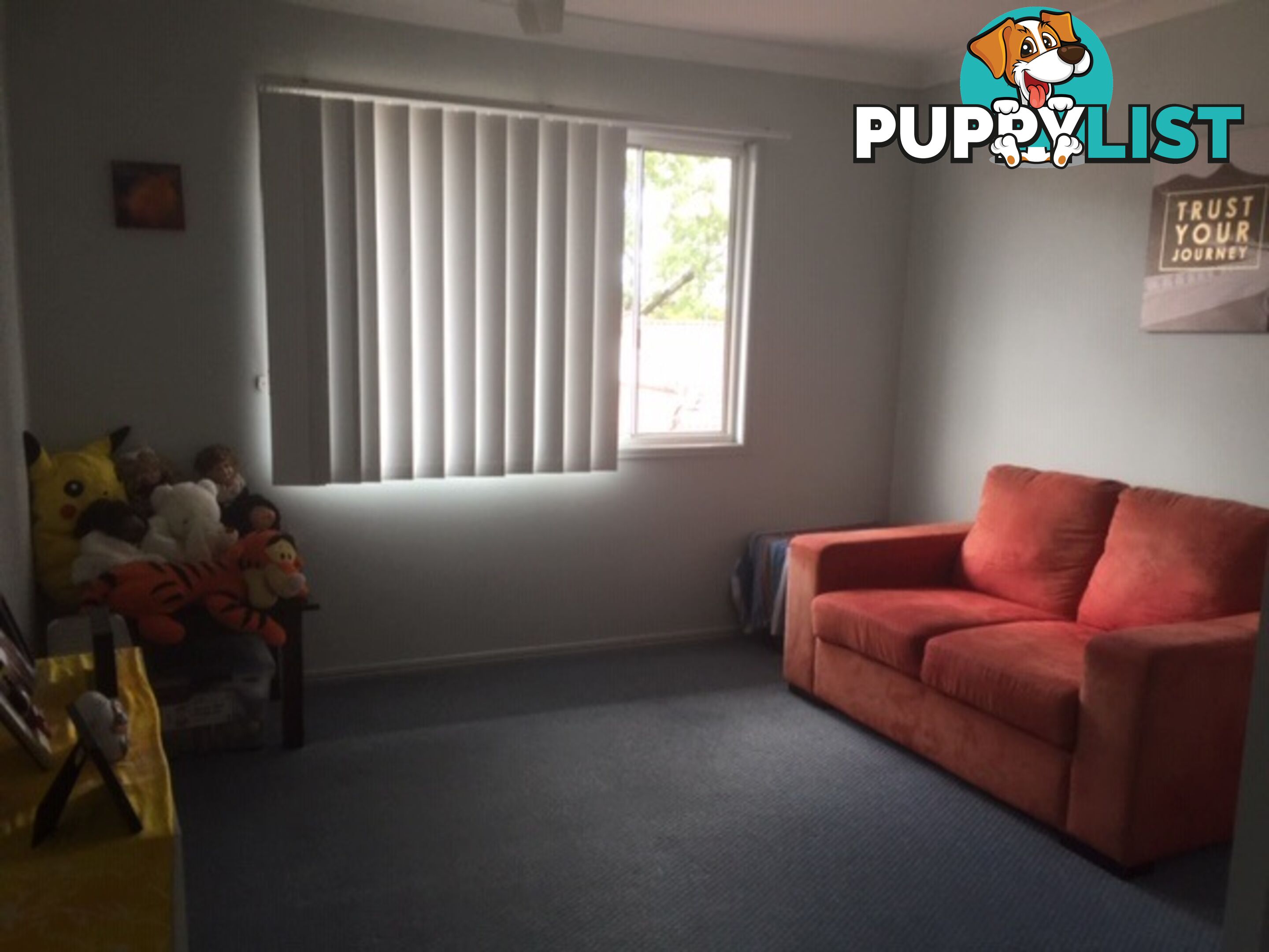 15 Daisy Hill Road DAISY HILL QLD 4127
