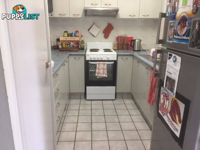 15 Daisy Hill Road DAISY HILL QLD 4127