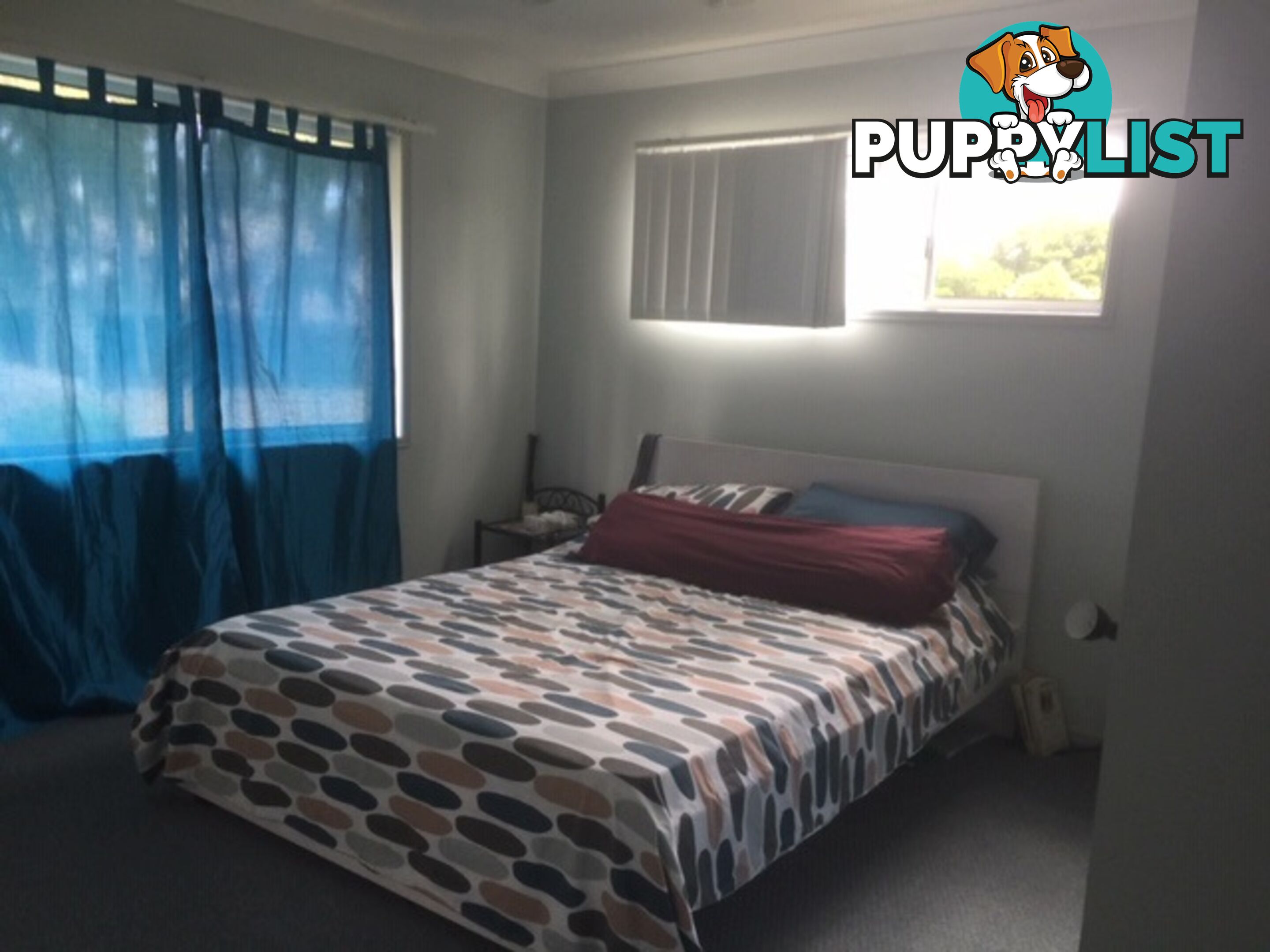 15 Daisy Hill Road DAISY HILL QLD 4127