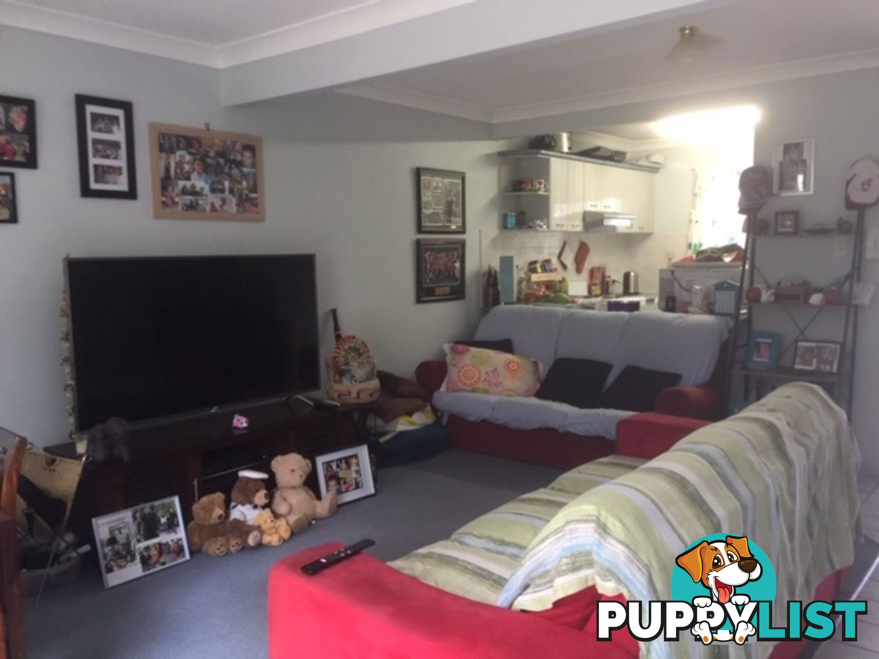 15 Daisy Hill Road DAISY HILL QLD 4127