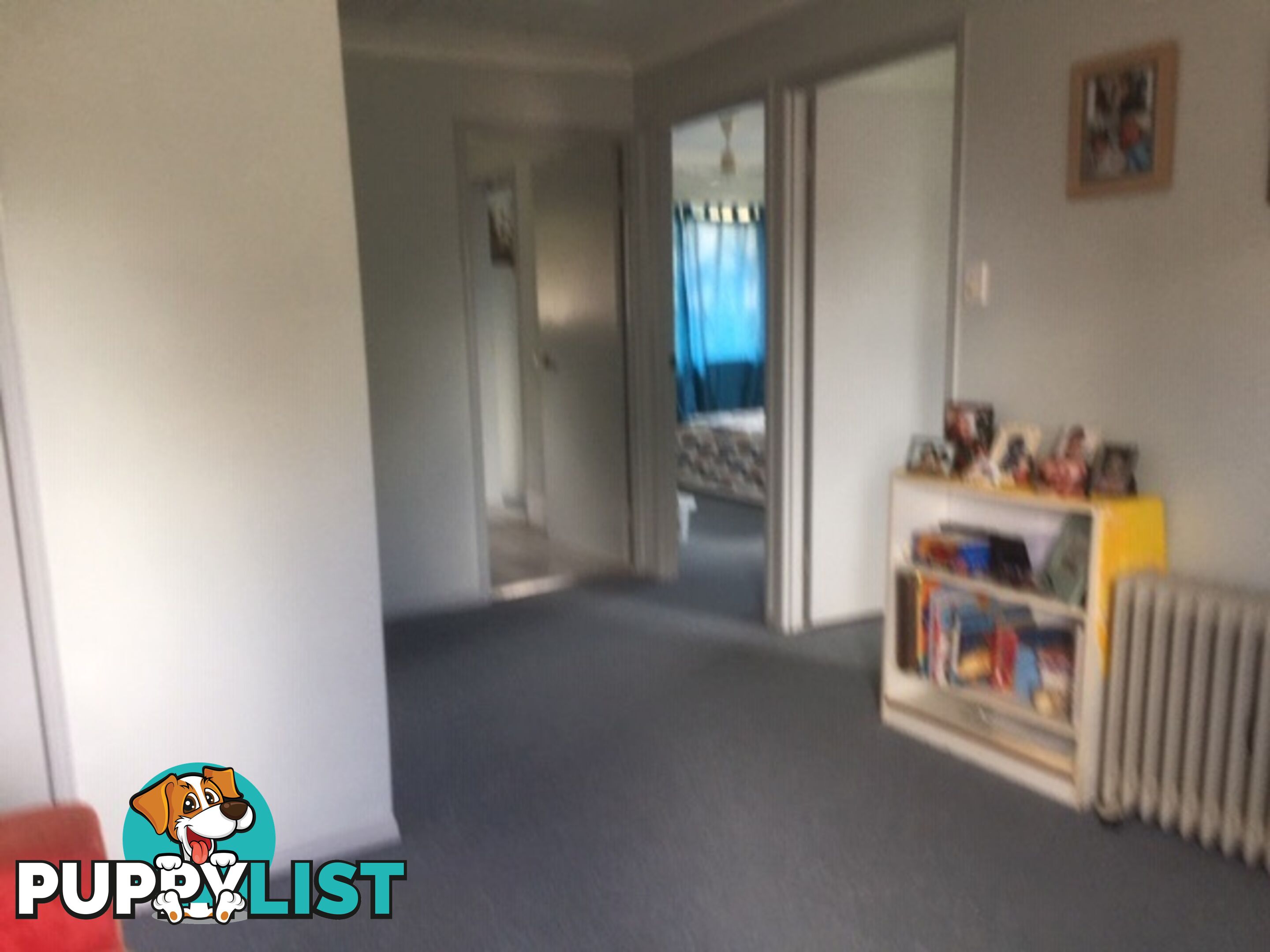 15 Daisy Hill Road DAISY HILL QLD 4127