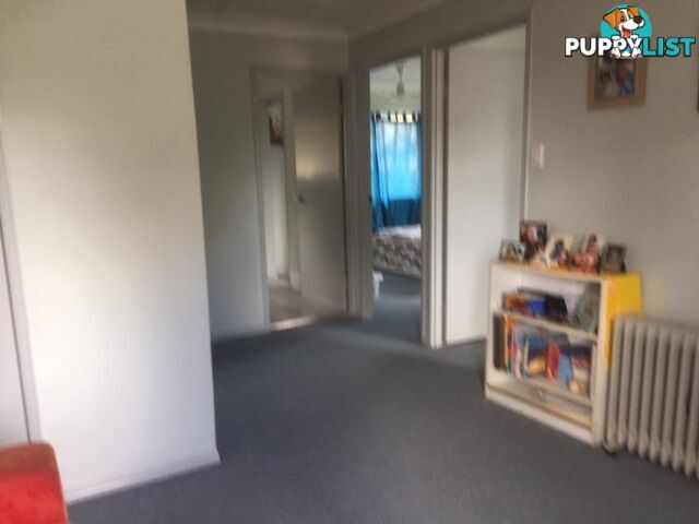15 Daisy Hill Road DAISY HILL QLD 4127