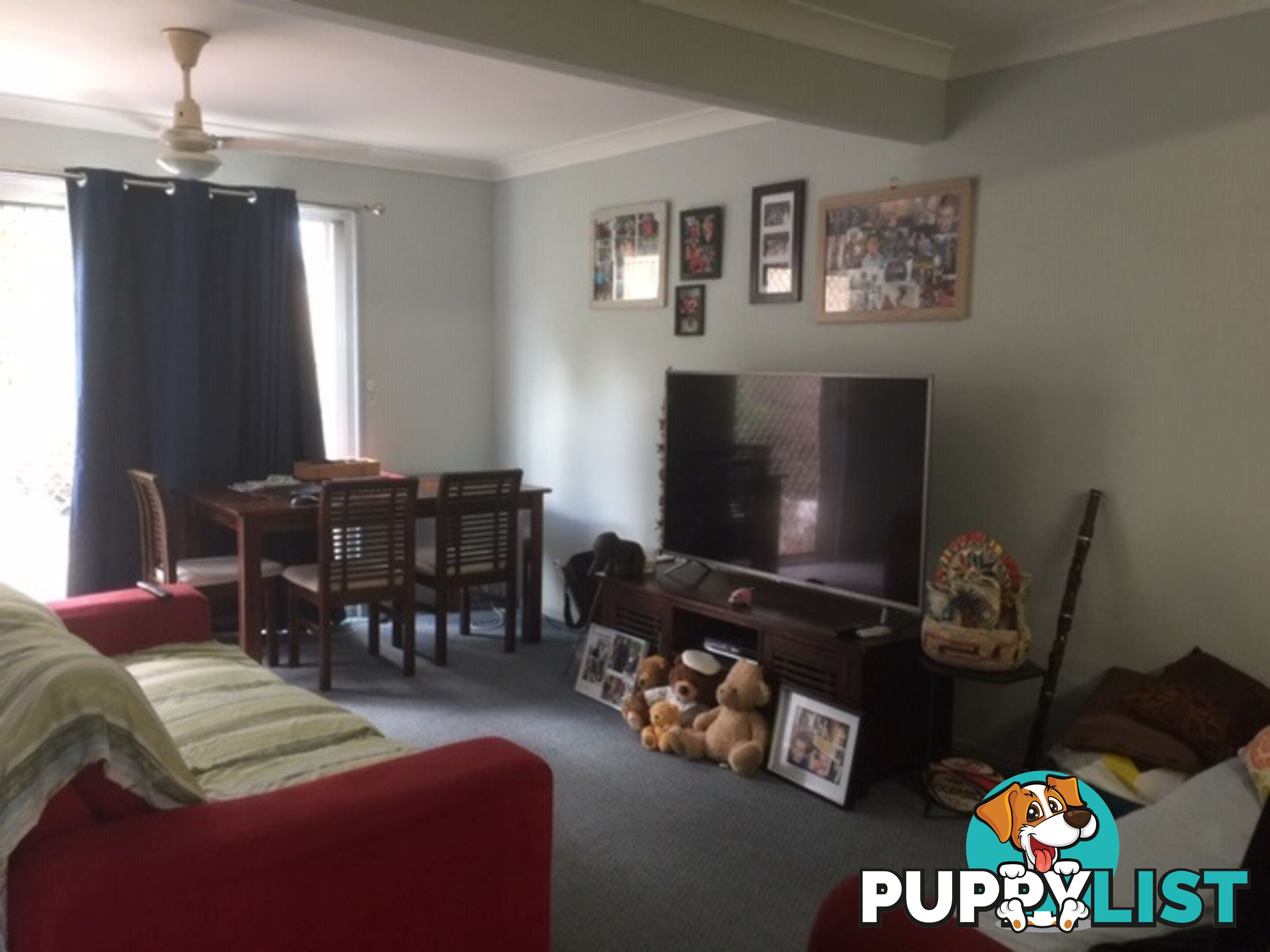 15 Daisy Hill Road DAISY HILL QLD 4127