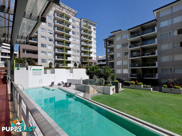 103/51 Hope Street SPRING HILL QLD 4000