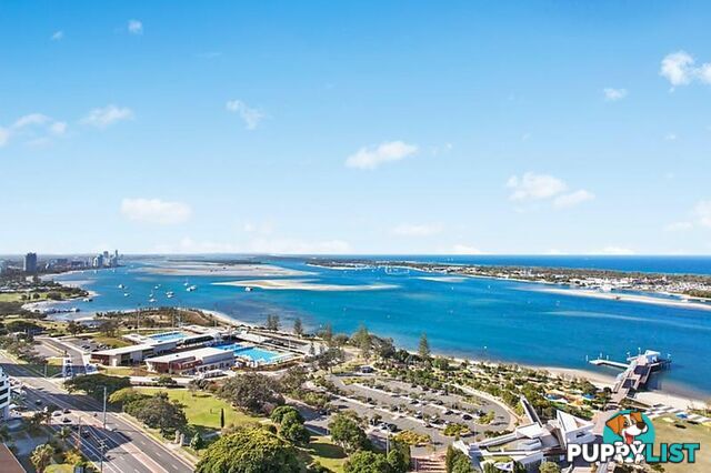 50 Marine Pde SOUTHPORT QLD 4215