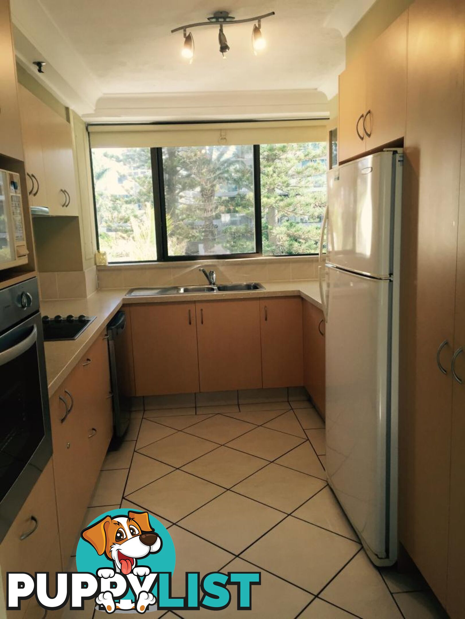 101/5 Enderley Ave SURFERS PARADISE QLD 4217