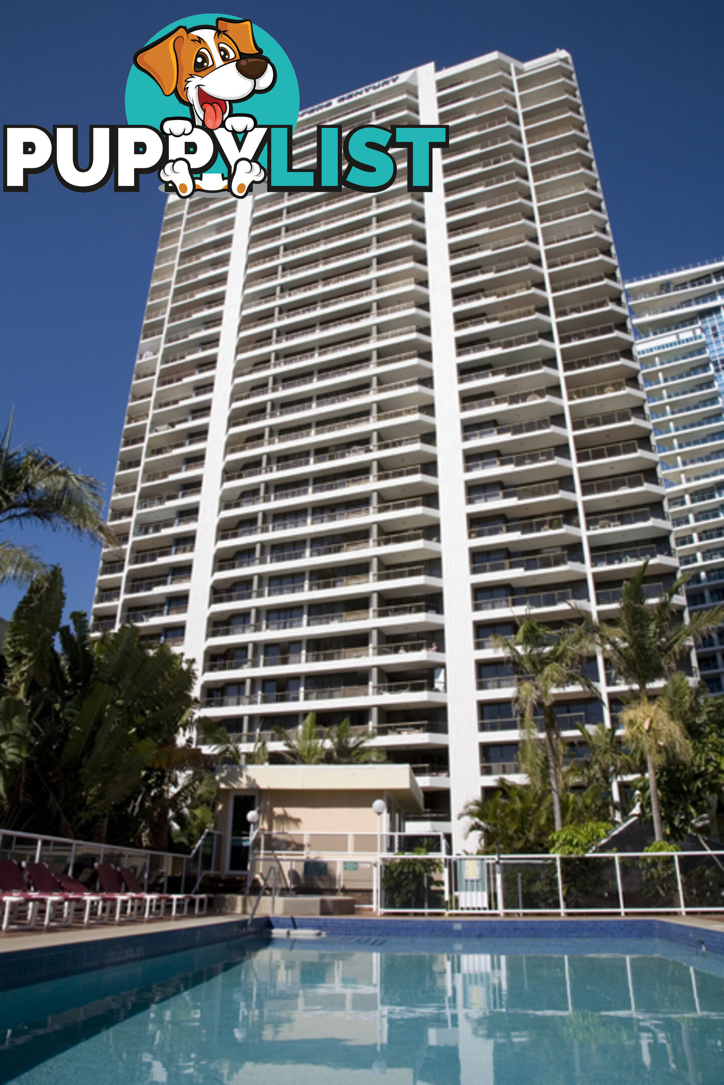 101/5 Enderley Ave SURFERS PARADISE QLD 4217