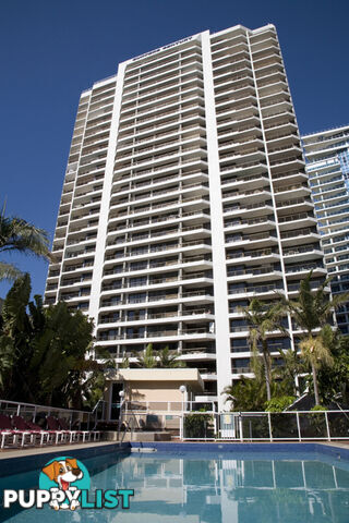 101/5 Enderley Ave SURFERS PARADISE QLD 4217