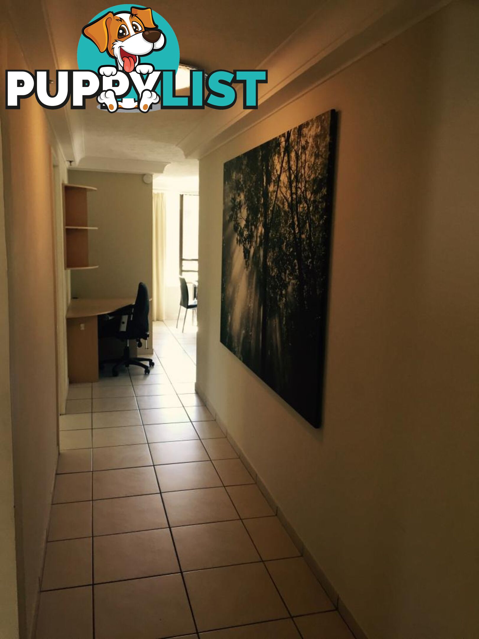 101/5 Enderley Ave SURFERS PARADISE QLD 4217