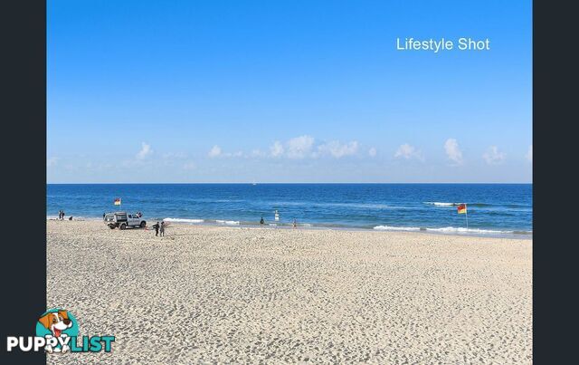 18/3650 La Joya, Main Beach Pde MAIN BEACH QLD 4217