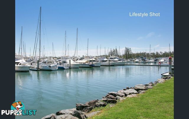 18/3650 La Joya, Main Beach Pde MAIN BEACH QLD 4217