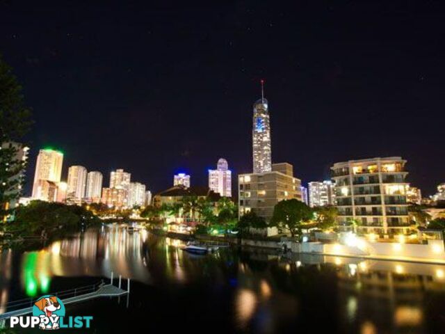 SURFERS PARADISE QLD 4217