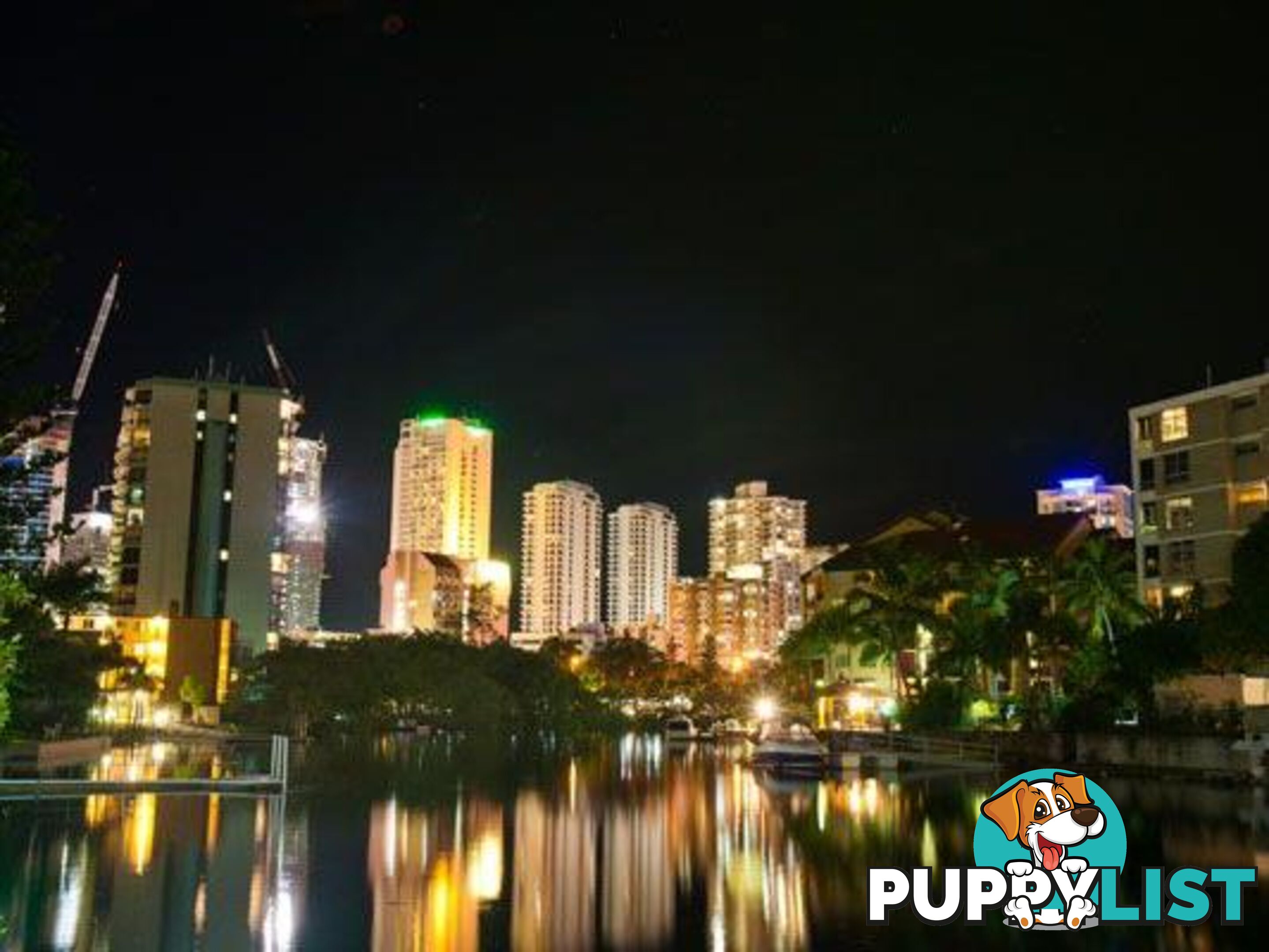 SURFERS PARADISE QLD 4217