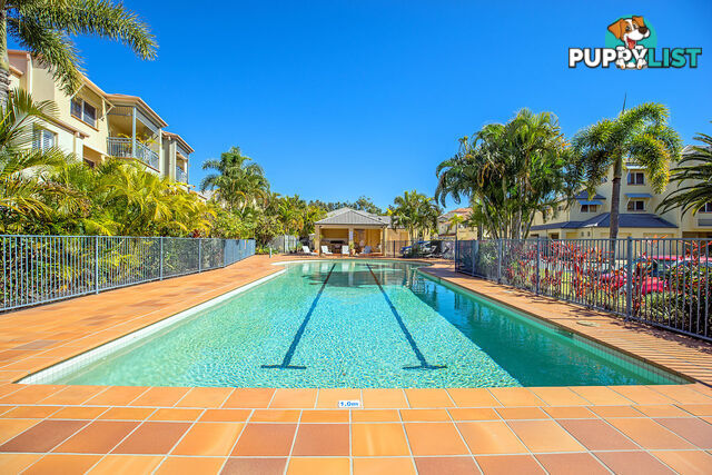 13/82 Limetree Parade RUNAWAY BAY QLD 4216