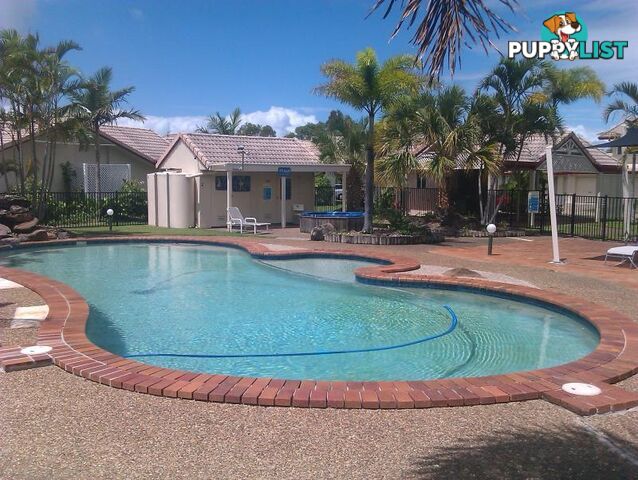 21/20 St Kevins Ave BENOWA QLD 4217