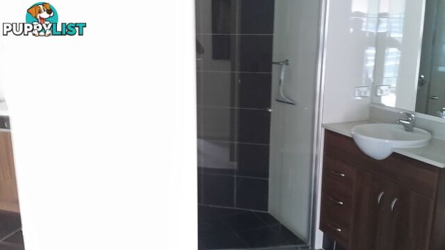 515A/1 Como Crescent SOUTHPORT QLD 4215