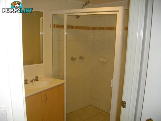 38 Lissner St TOOWONG QLD 4066