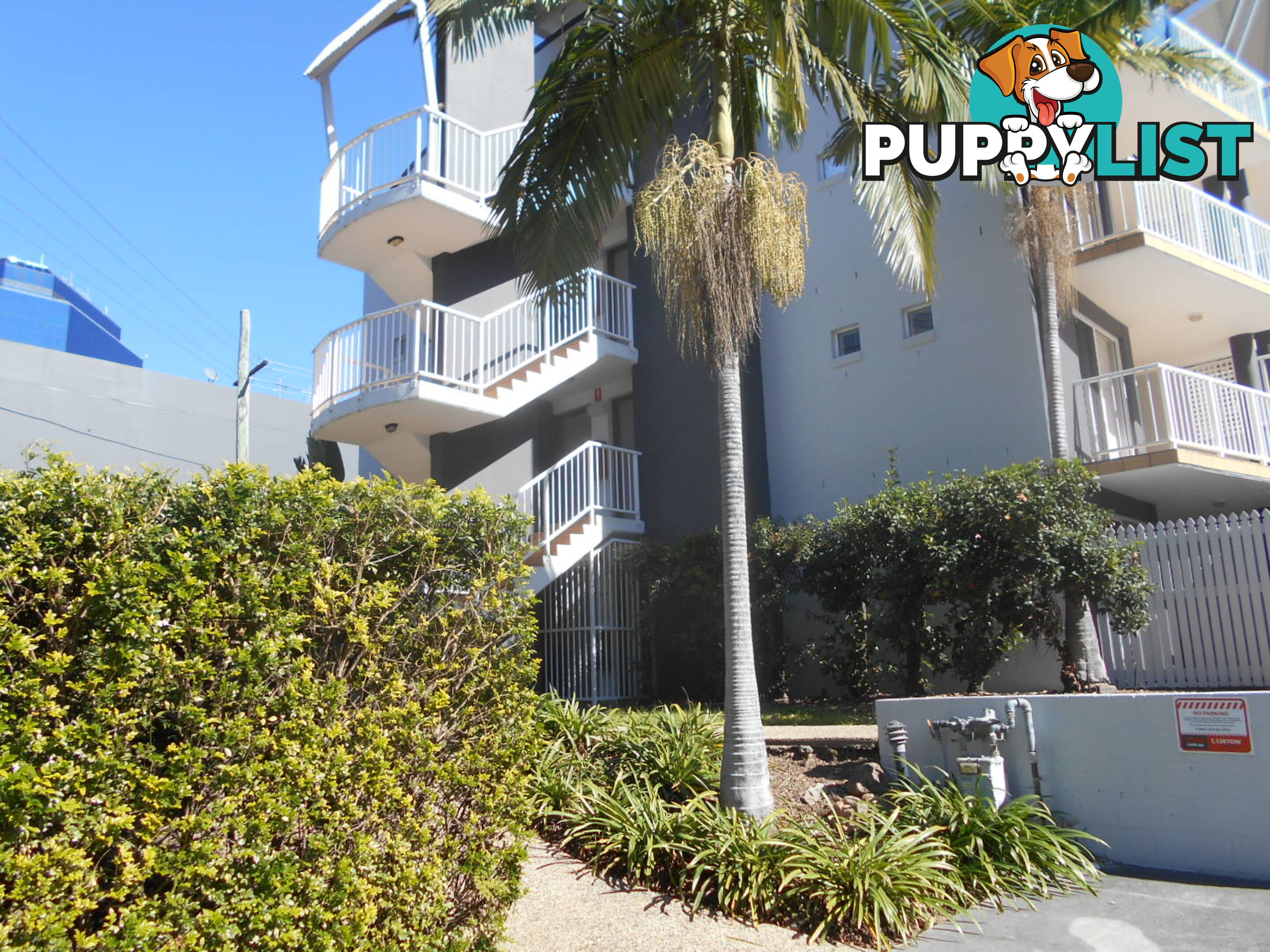 38 Lissner St TOOWONG QLD 4066