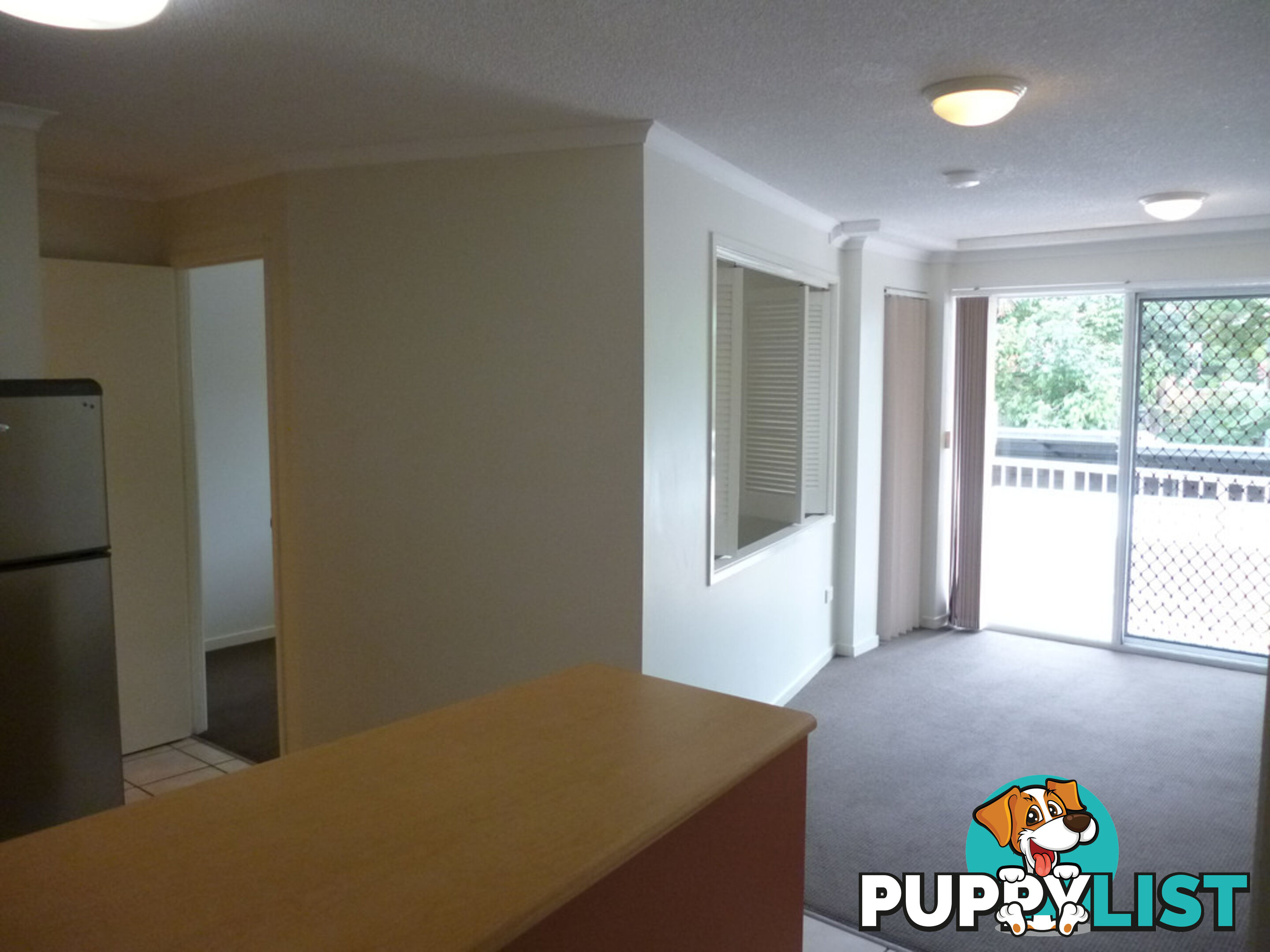 38 Lissner St TOOWONG QLD 4066