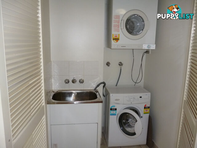 38 Lissner St TOOWONG QLD 4066