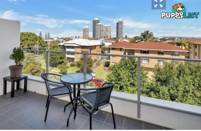 33-37 Madang Cres RUNAWAY BAY QLD 4216