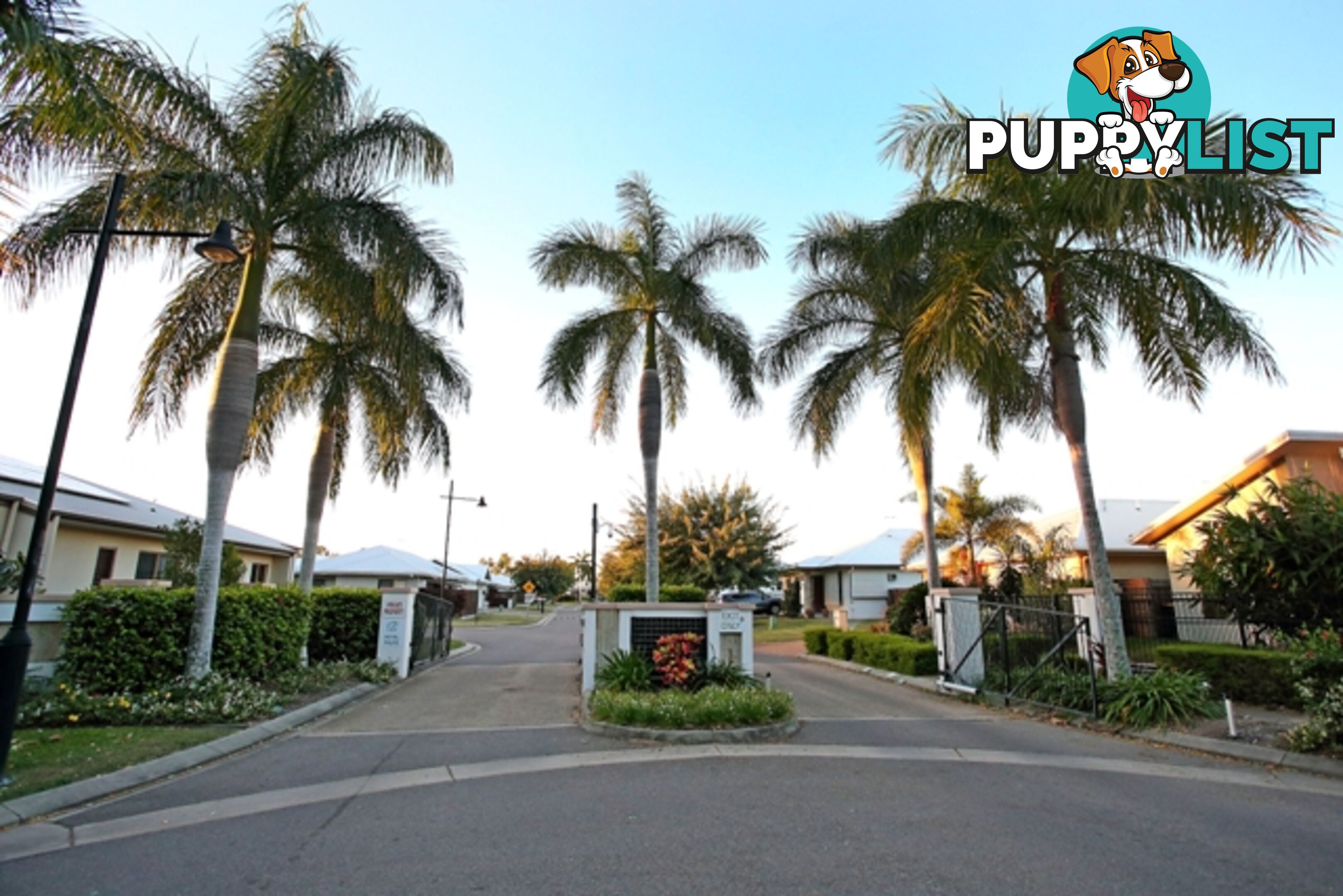 73 Lemongrass Lane KIRWAN QLD 4817