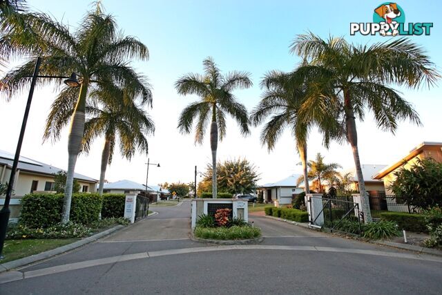 73 Lemongrass Lane KIRWAN QLD 4817