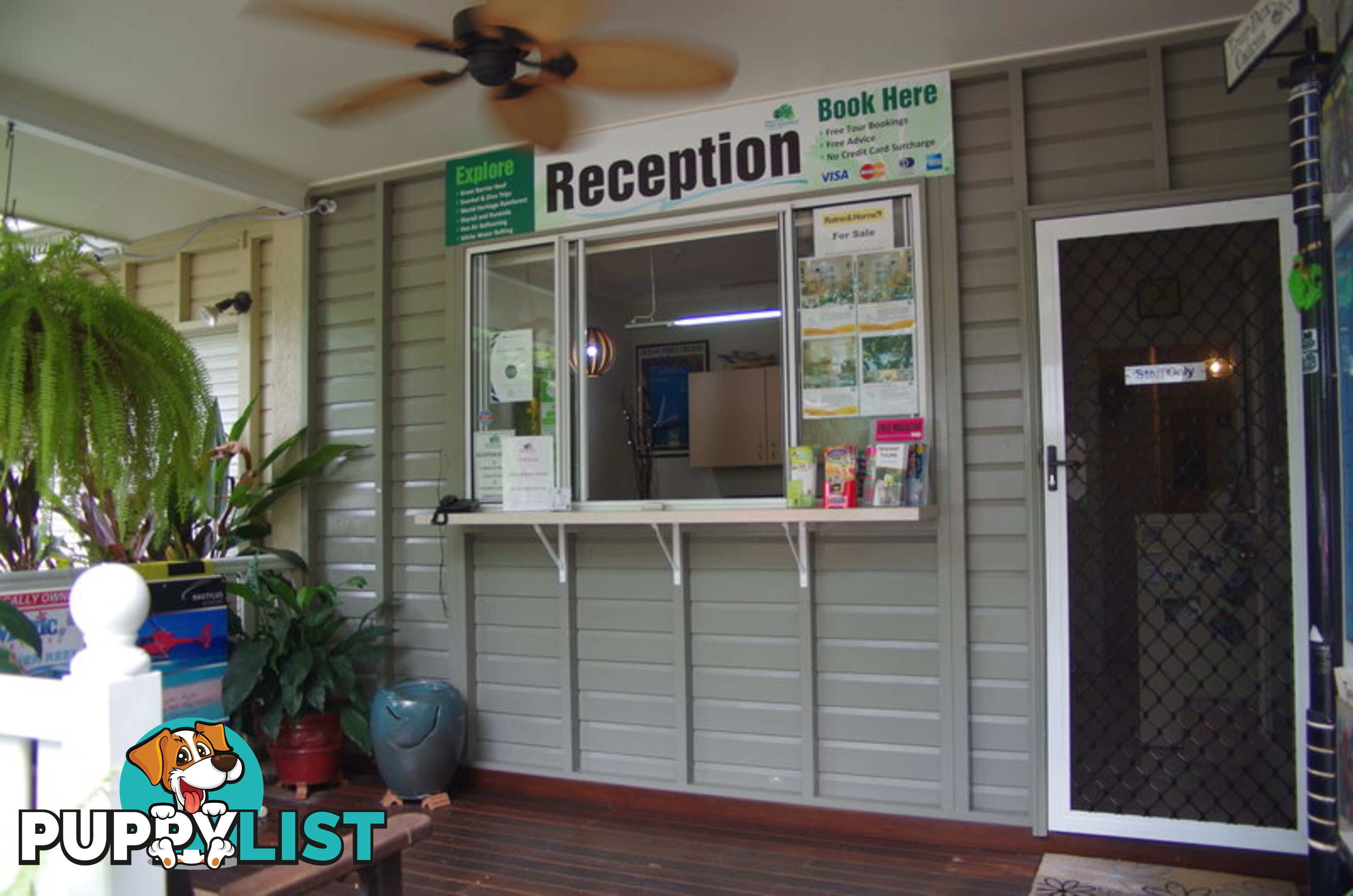 6 Triton St PALM COVE QLD 4879