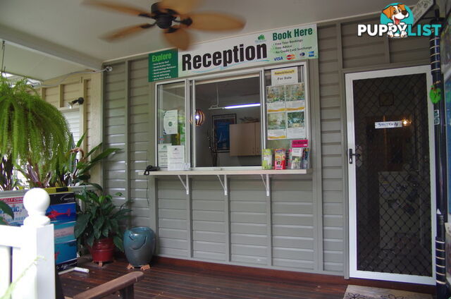 6 Triton St PALM COVE QLD 4879