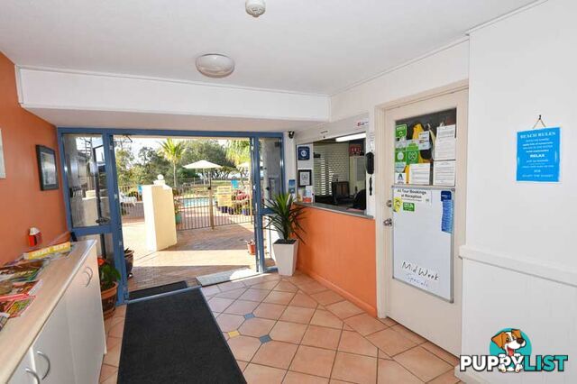 GOLDEN BEACH QLD 4551