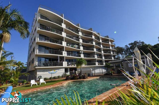 GOLDEN BEACH QLD 4551