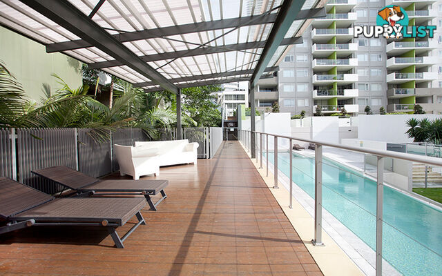 208/51 Hope Street SPRING HILL QLD 4000