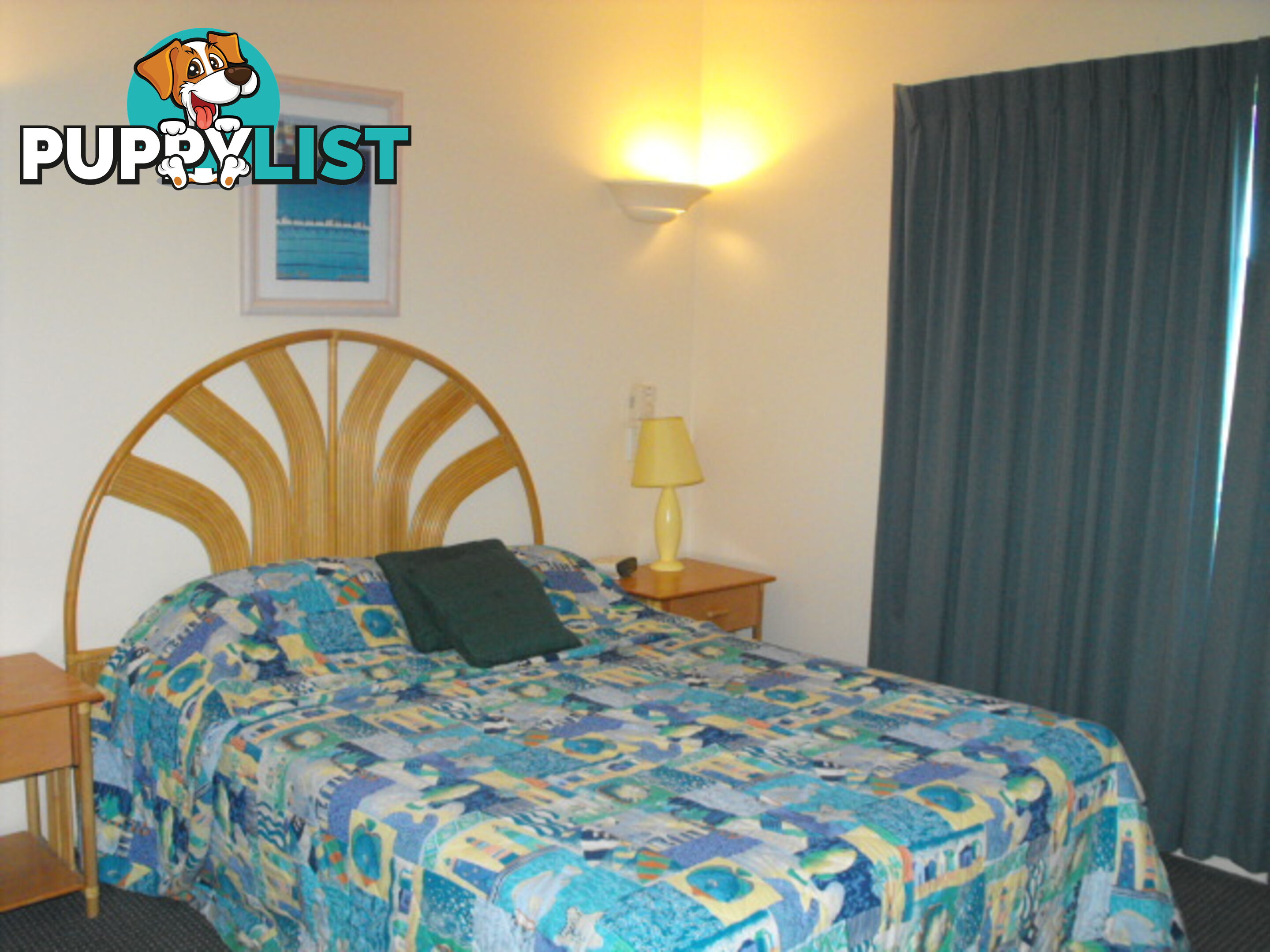 955 Gold Coast Highway PALM BEACH QLD 4221