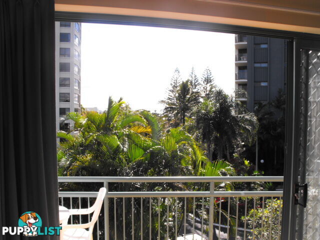 955 Gold Coast Highway PALM BEACH QLD 4221