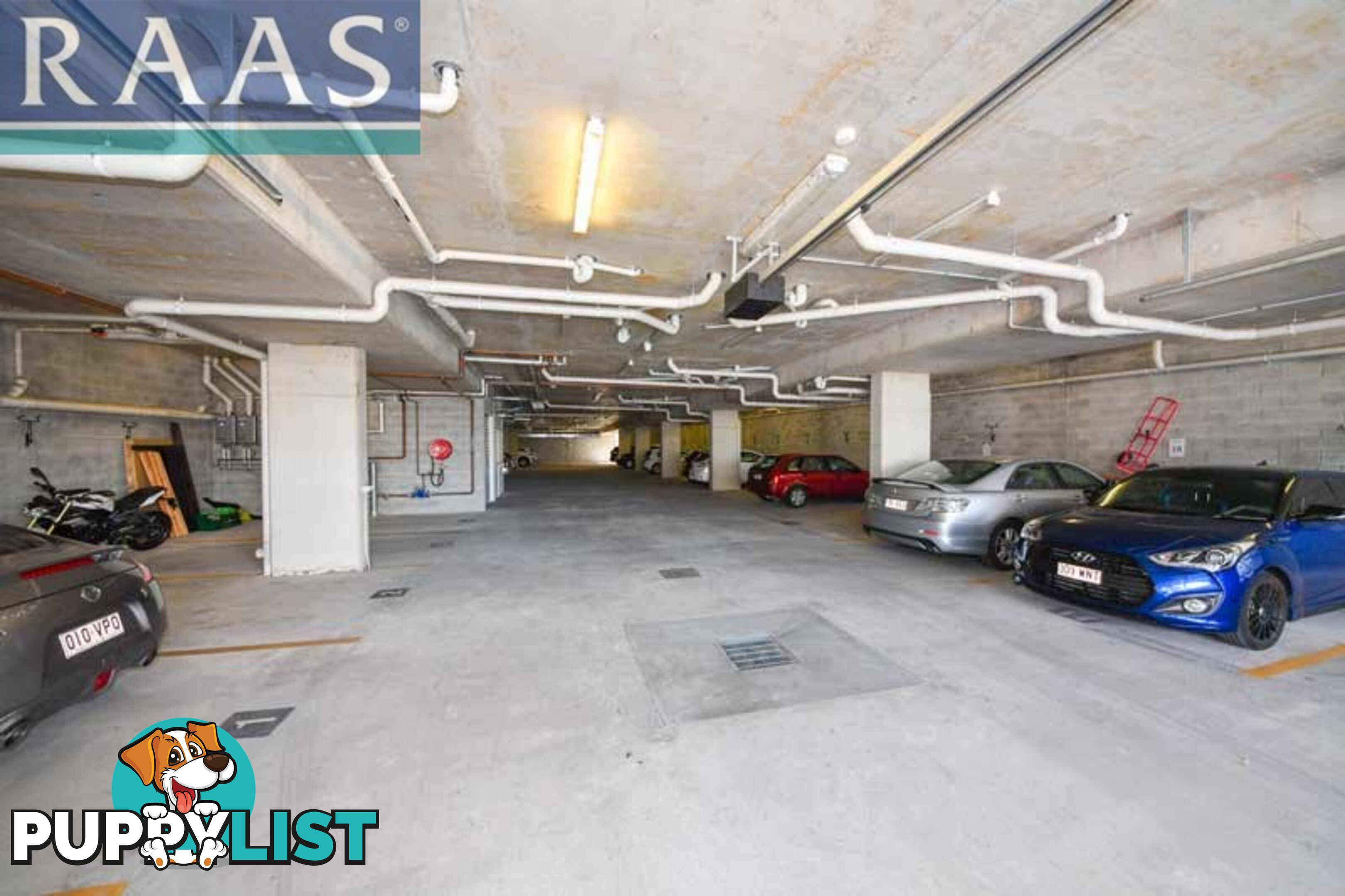 8/61 Ludwick Street CANNON HILL QLD 4170