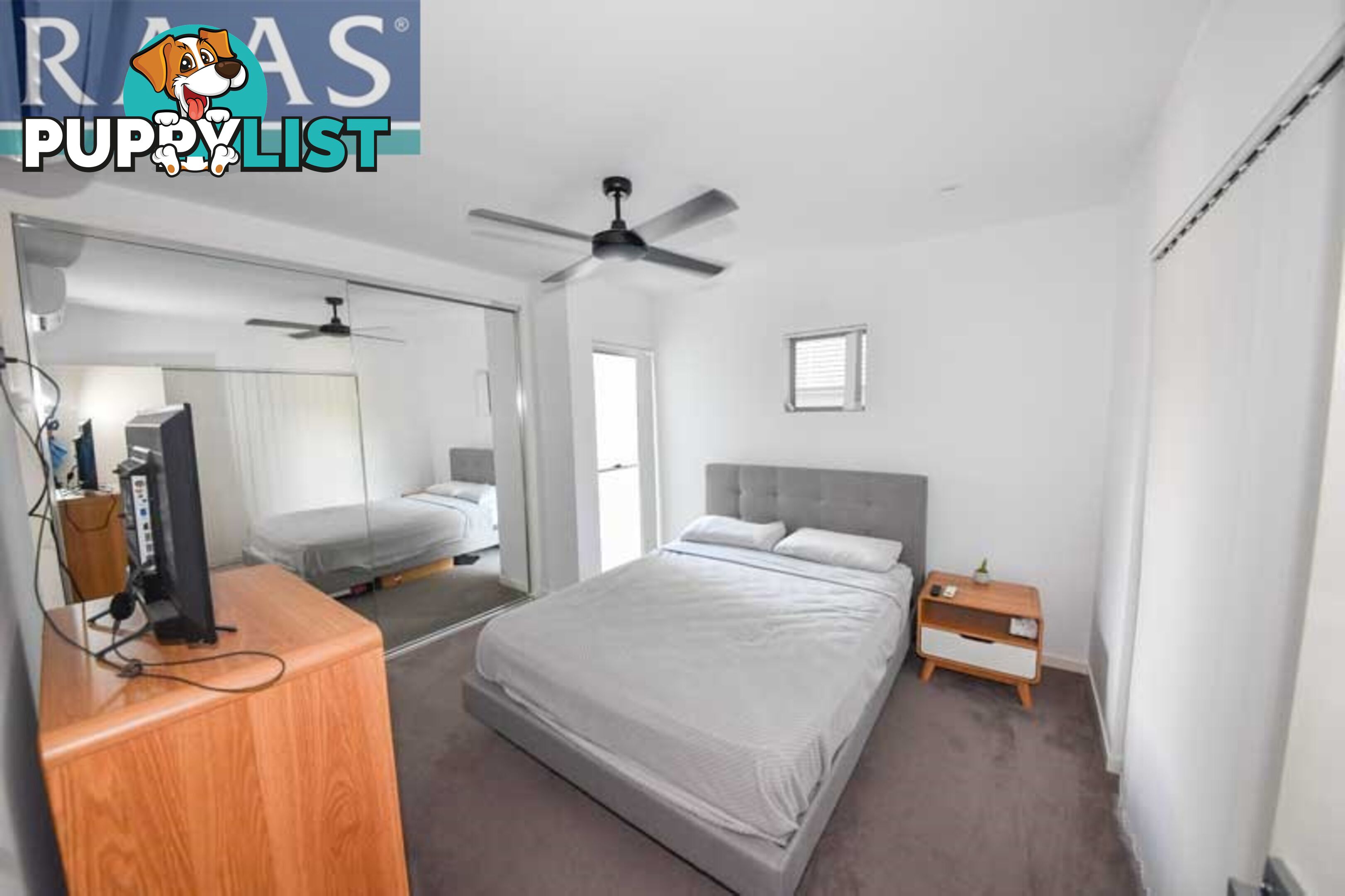 8/61 Ludwick Street CANNON HILL QLD 4170