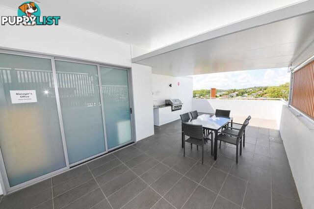 8/61 Ludwick Street CANNON HILL QLD 4170