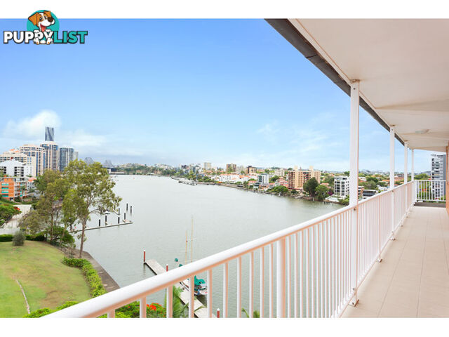 64 Thorn Street KANGAROO POINT QLD 4169