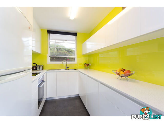 64 Thorn Street KANGAROO POINT QLD 4169