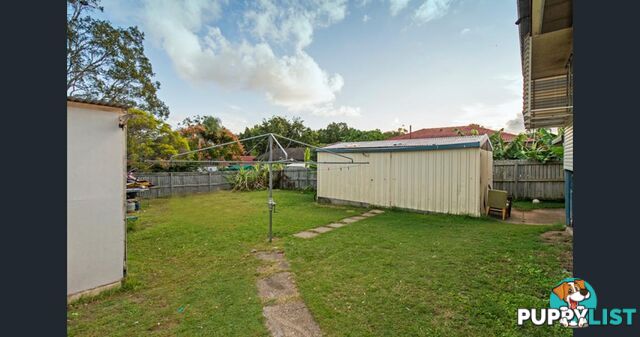 3 Omar Street WOODRIDGE QLD 4114