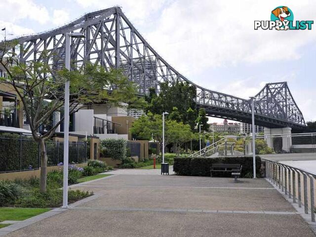 KANGAROO POINT QLD 4169