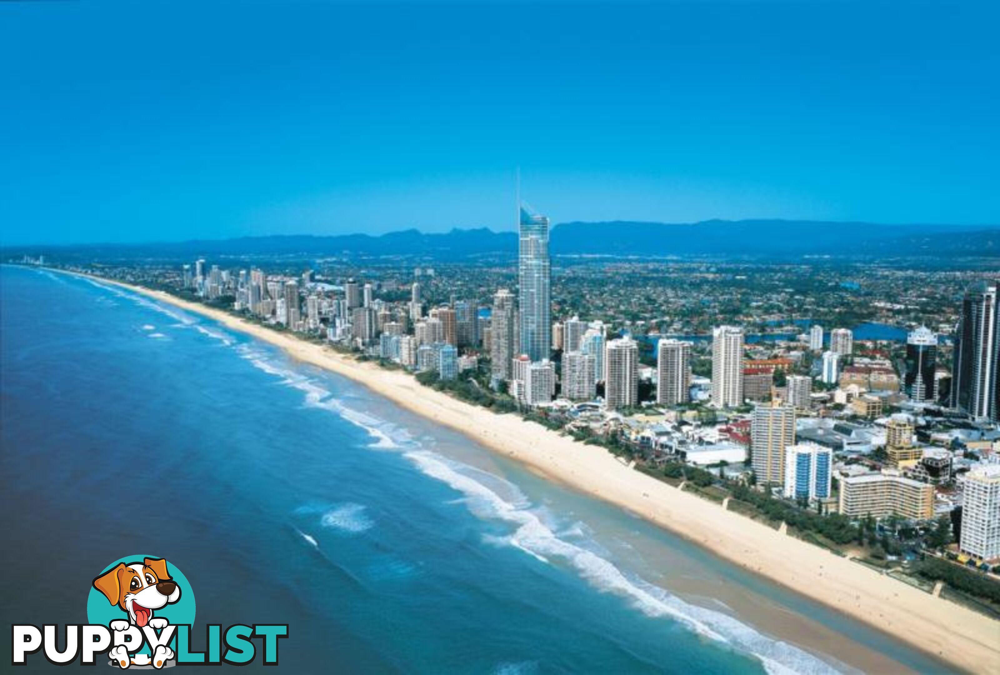 SURFERS PARADISE QLD 4217