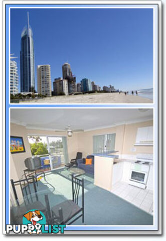 43 Cypress Ave SURFERS PARADISE QLD 4217