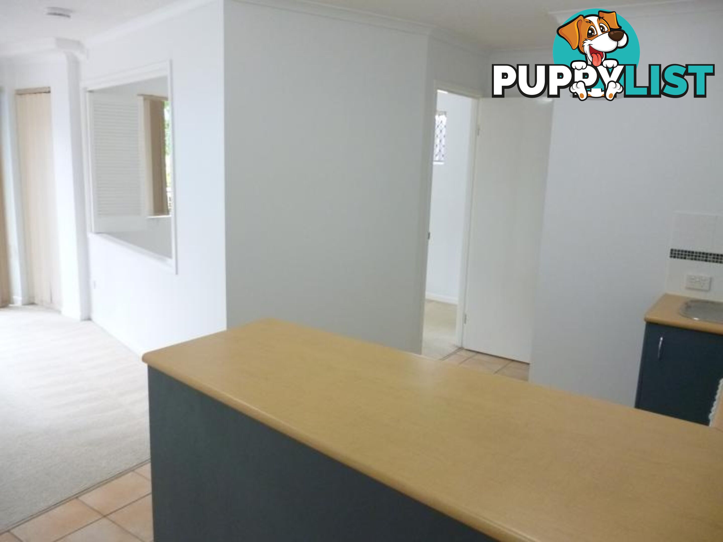 38 Lissner Street TOOWONG QLD 4066