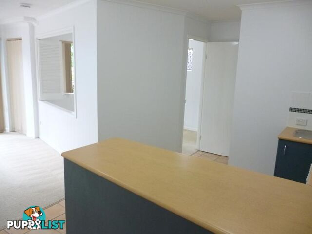 38 Lissner Street TOOWONG QLD 4066