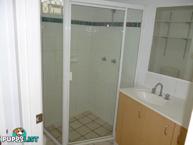 38 Lissner Street TOOWONG QLD 4066