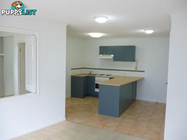 38 Lissner Street TOOWONG QLD 4066
