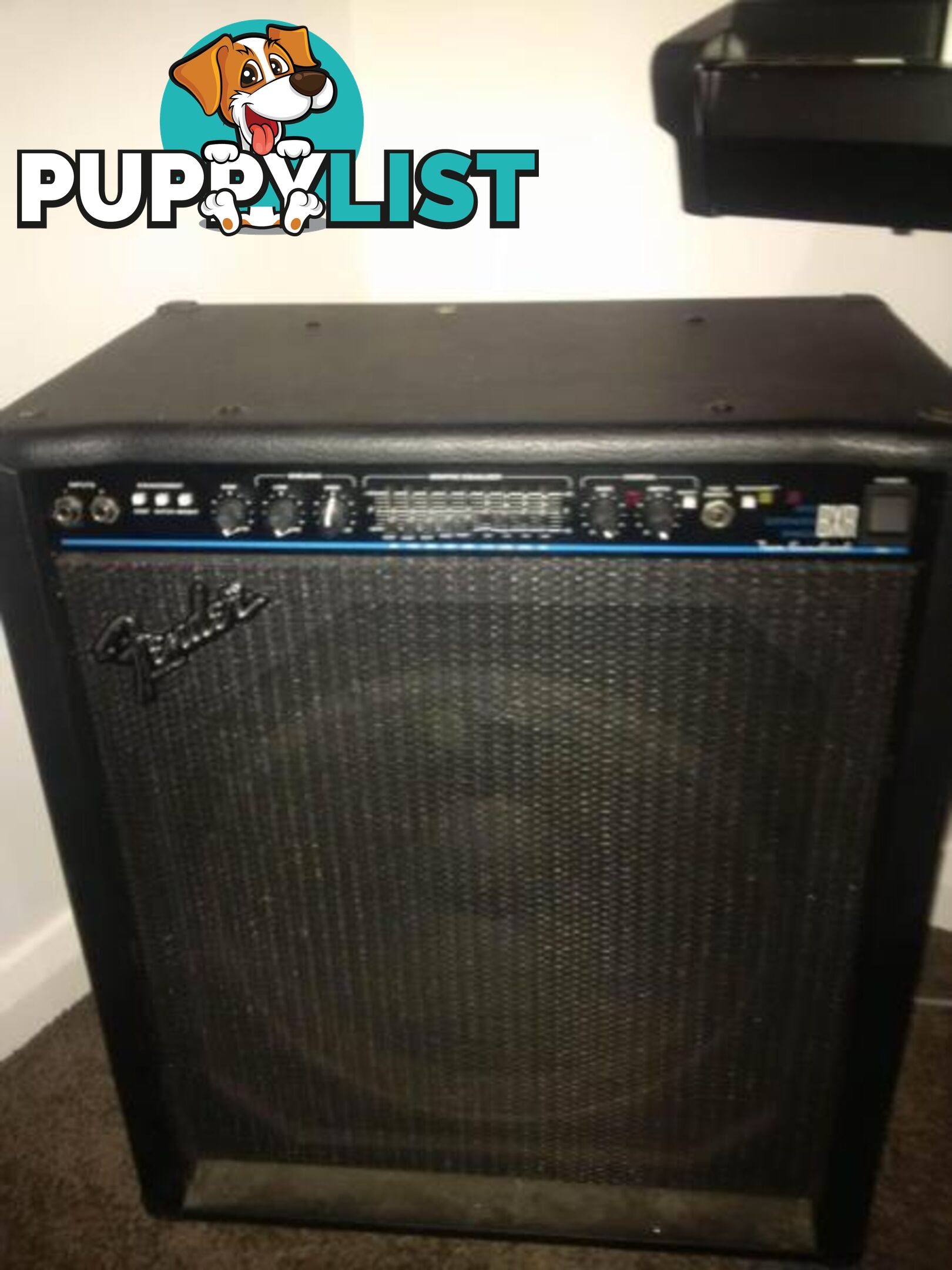 Wanted: SWAP or Trade Fender AMPLIFIER for BASS GUITAR