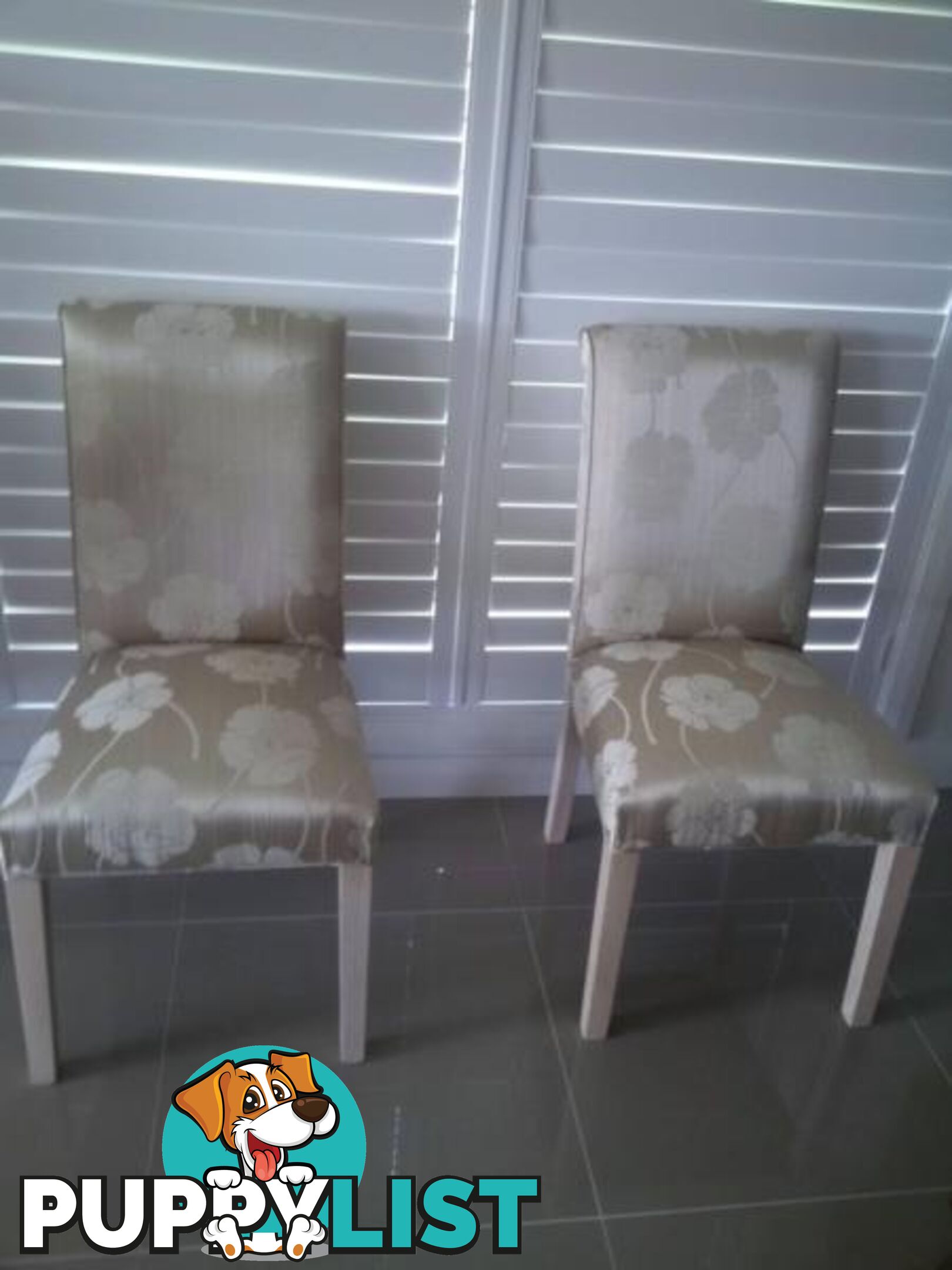 Armchairs, Dining Chairs - Modern & Vintage from $ 30